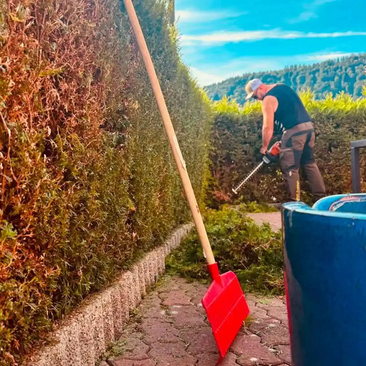 Gartenarbeiter schneidet Hecke im Außenbereich
